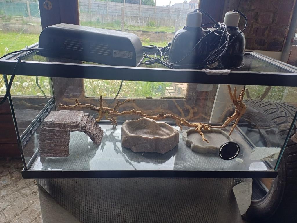 Terrarium +deco+ lampe + substrat, Enlèvement, Utilisé