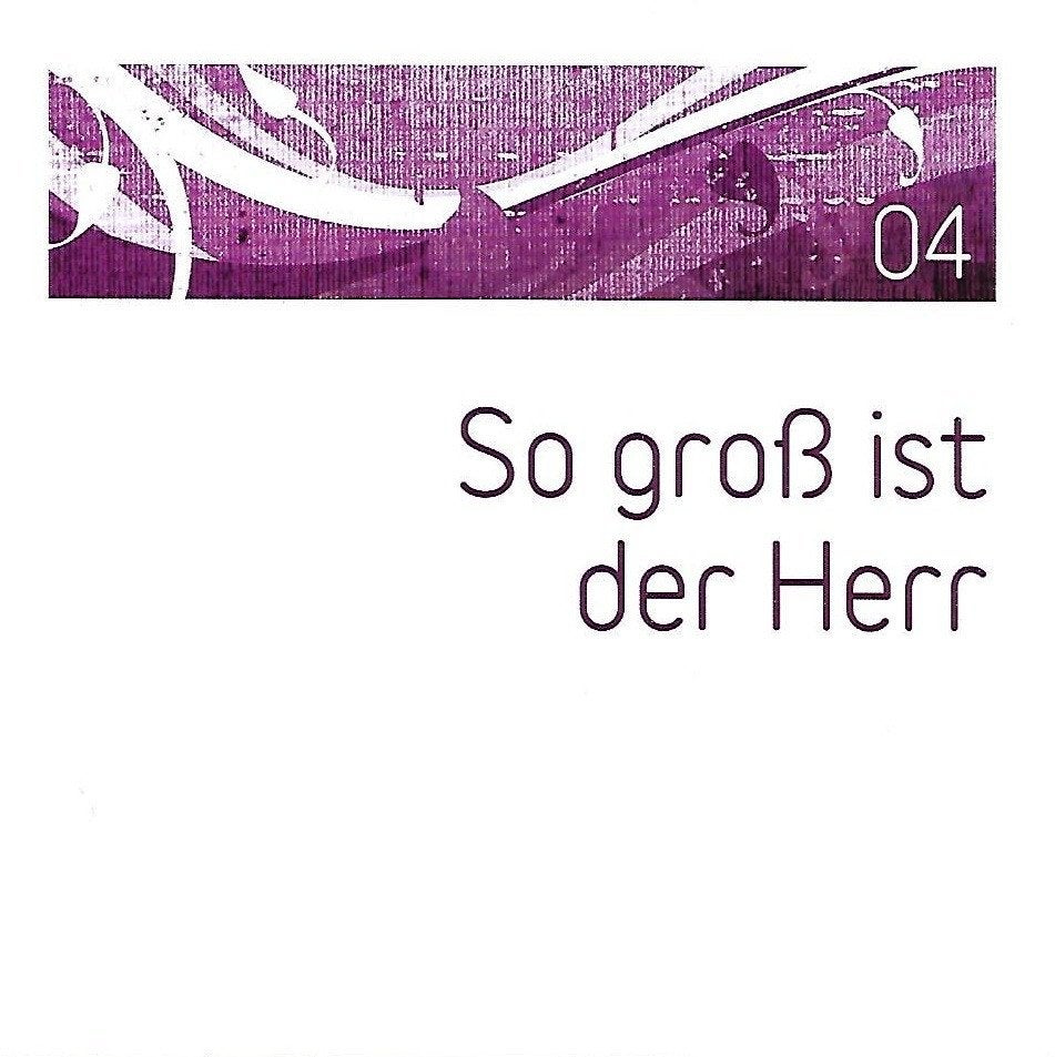 SALE--CD VARIOUS - So Groß Ist Der Herr 04, Envoi, Gospel