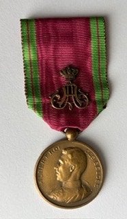 Medaille Huis Koning Albert 1, Ophalen of Verzenden, Landmacht, Lintje, Medaille of Wings