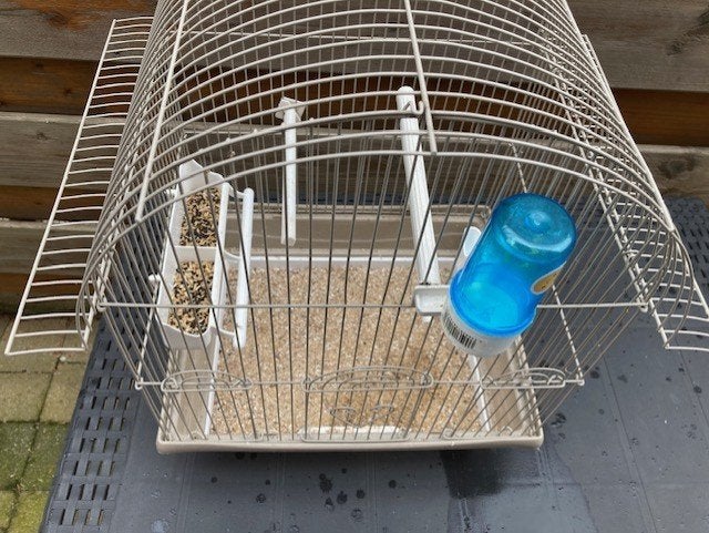 Cage à oiseaux, Animaux & Accessoires, Oiseaux | Oiseaux Autre, Oiseau tropical, Domestique