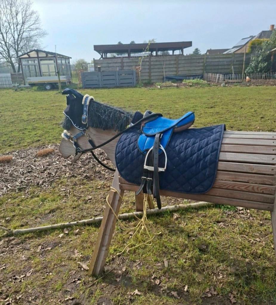 Blauw dekje met blauw oornetje, Enlèvement