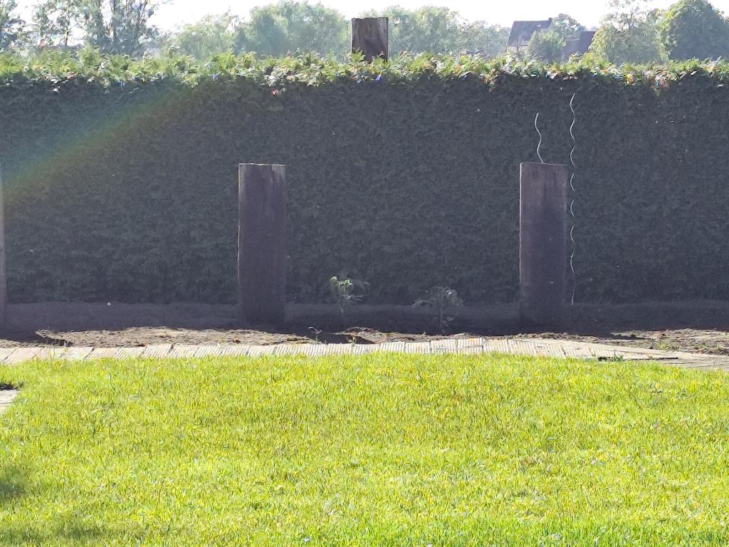 11 treinbielzen gratis, Tuin en Terras, Bielzen en Borduren, Ophalen, Gebruikt, Biels