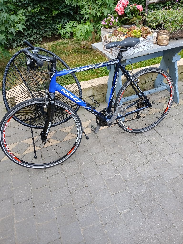 Koersfiets, Velgrem, Zo goed als nieuw, 15 tot 20 versnellingen, Dames
