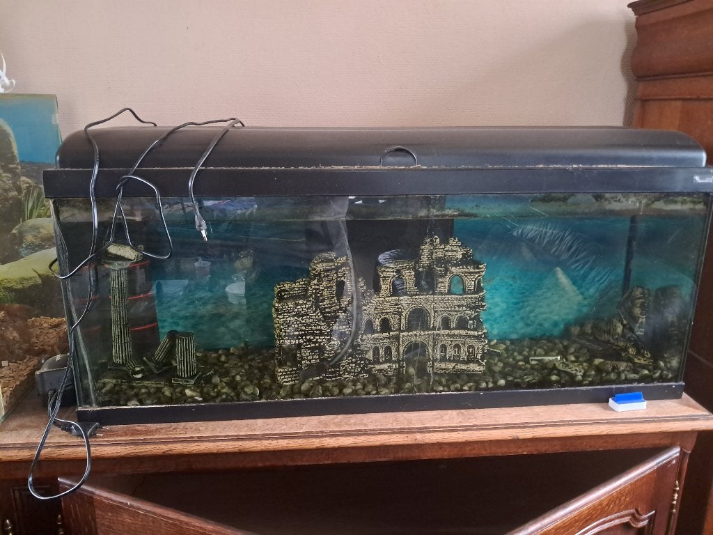 Aquarium, Enlèvement, Couvercle inclus, Utilisé, Aquarium vide