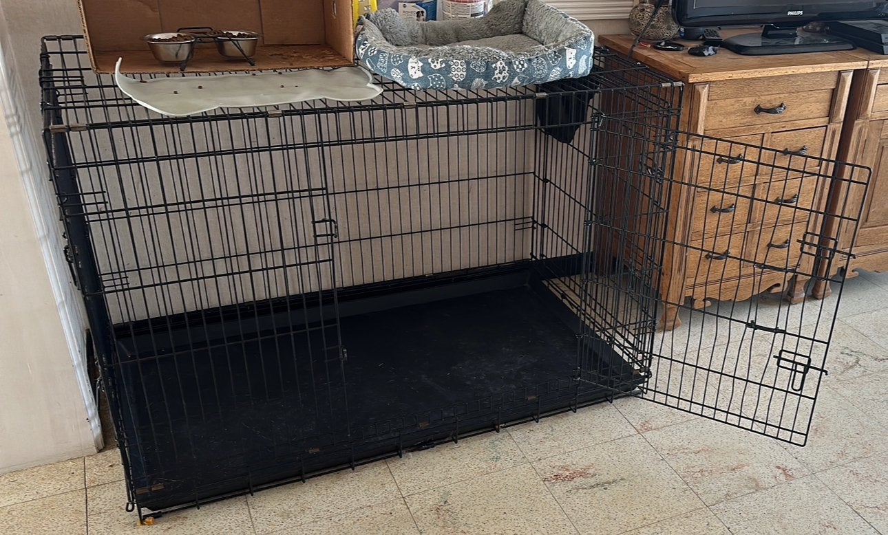 Hondenbench, Animaux & Accessoires, Caisses pour chiens, Enlèvement, Utilisé