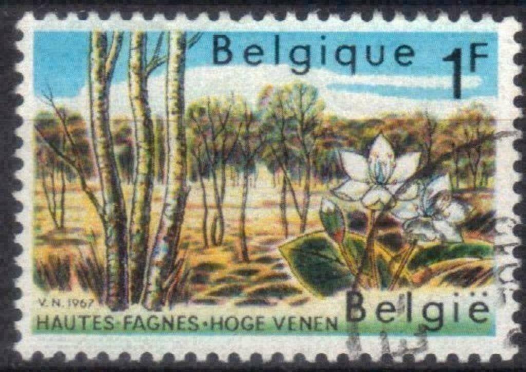 Belgie 1967 - Yvert/OBP 1408 - Natuurbescherming (ST), Postzegels en Munten, Postzegels | Europa | België, Verzenden, Gestempeld