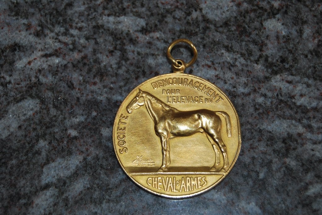 MEDAILLE BRONZE. ALBERT I et ELEVAGE CHEVAL D'ARMES, Enlèvement ou Envoi, Bronze