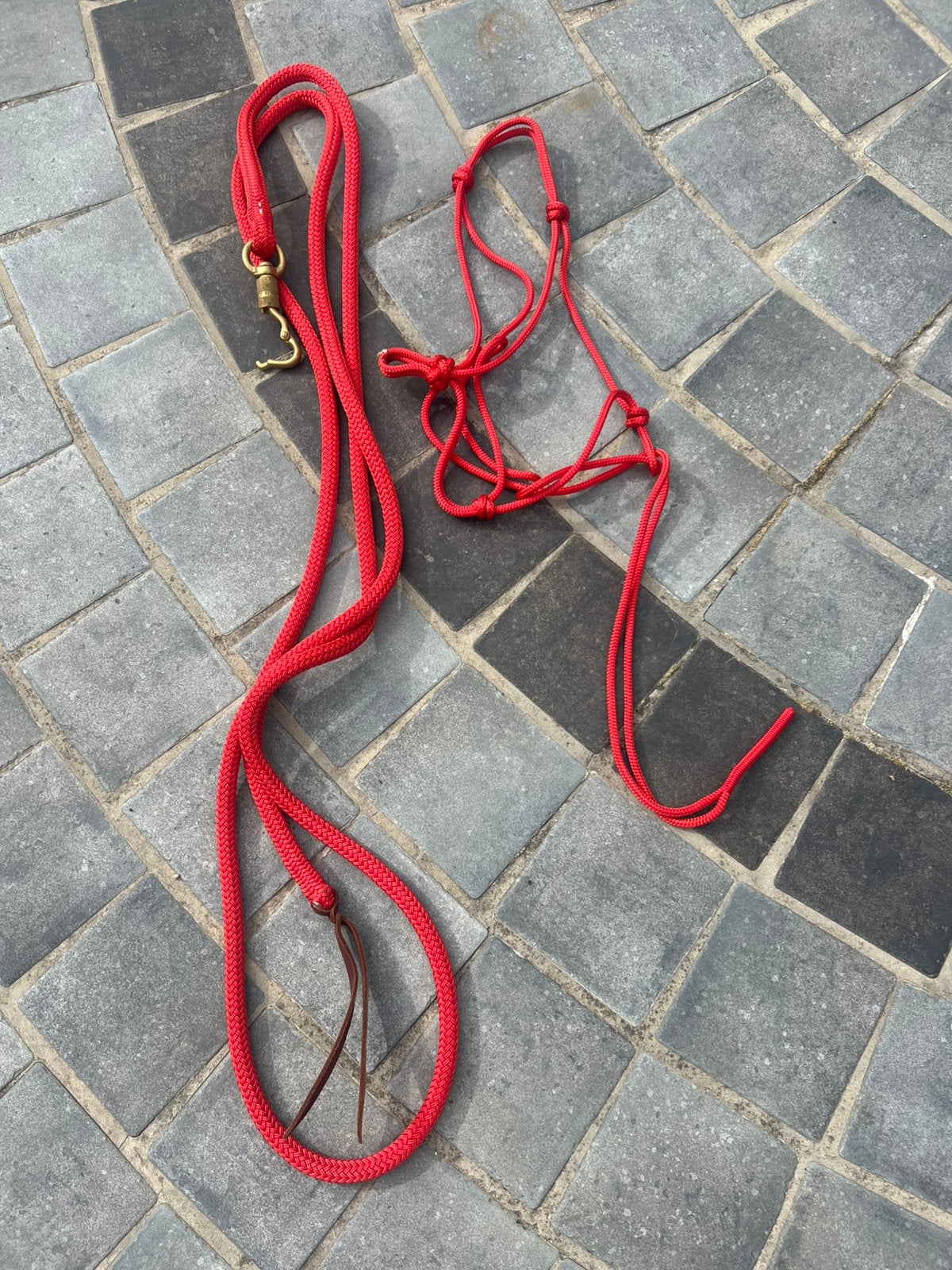 Licol plus longe ethologie, Animaux & Accessoires, Chevaux & Poneys | Brides & Harnachement, Enlèvement, Comme neuf, Réglable