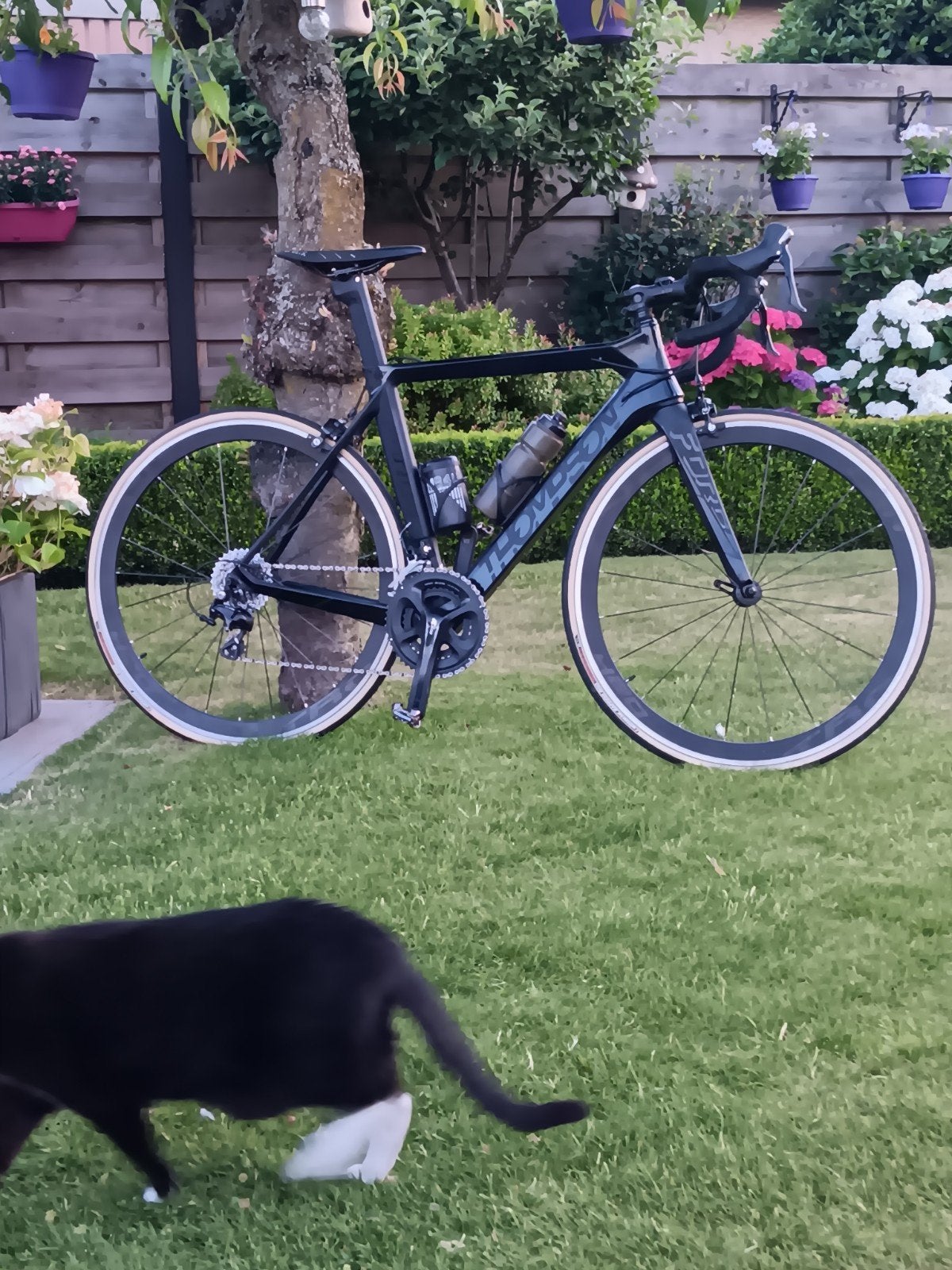 Schitterende Thompson!, Fietsen en Brommers, Fietsen | Racefietsen, Ophalen