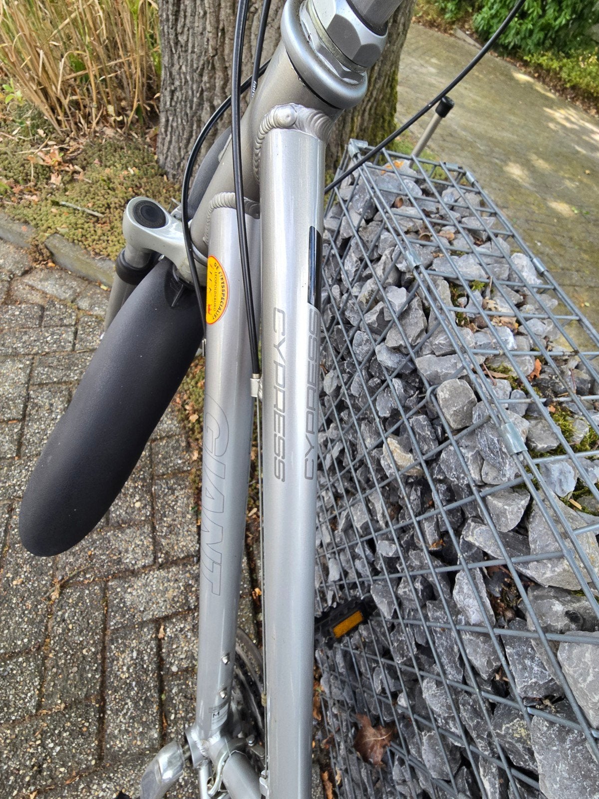 Giant fiets, Fietsen en Brommers, Ophalen, Giant