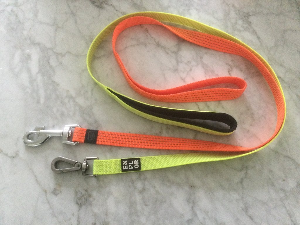 Fluo honden leiband, Dieren en Toebehoren, Ophalen of Verzenden
