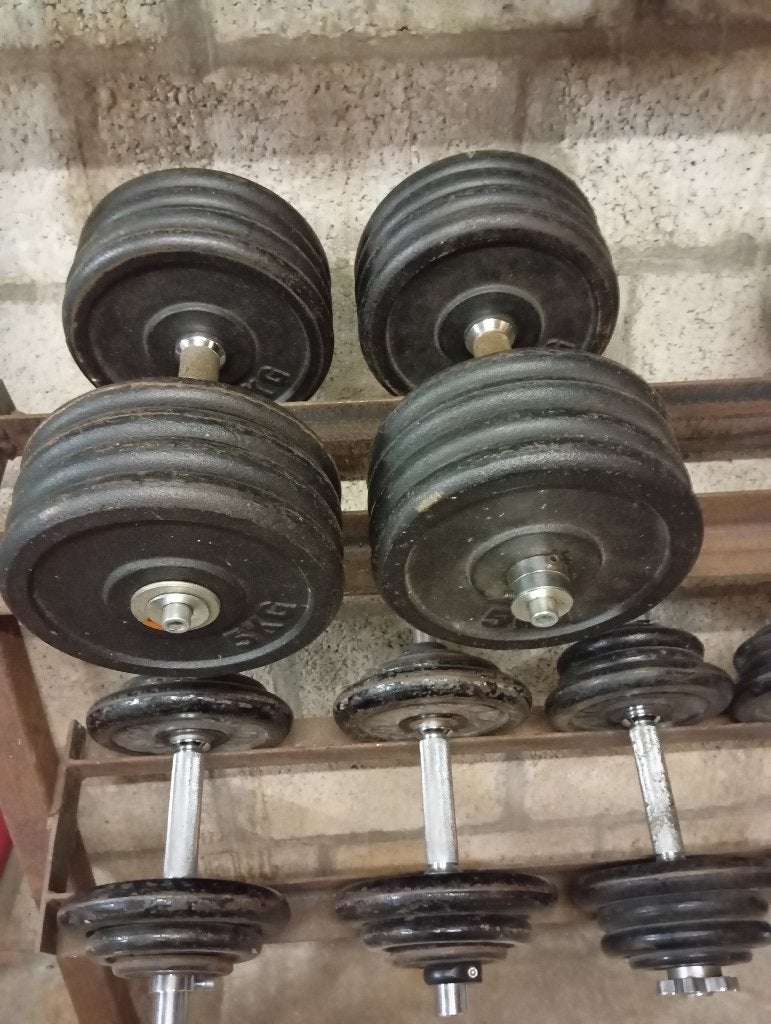 dumbels, Sport en Fitness, Ophalen, Gebruikt, Dumbbell