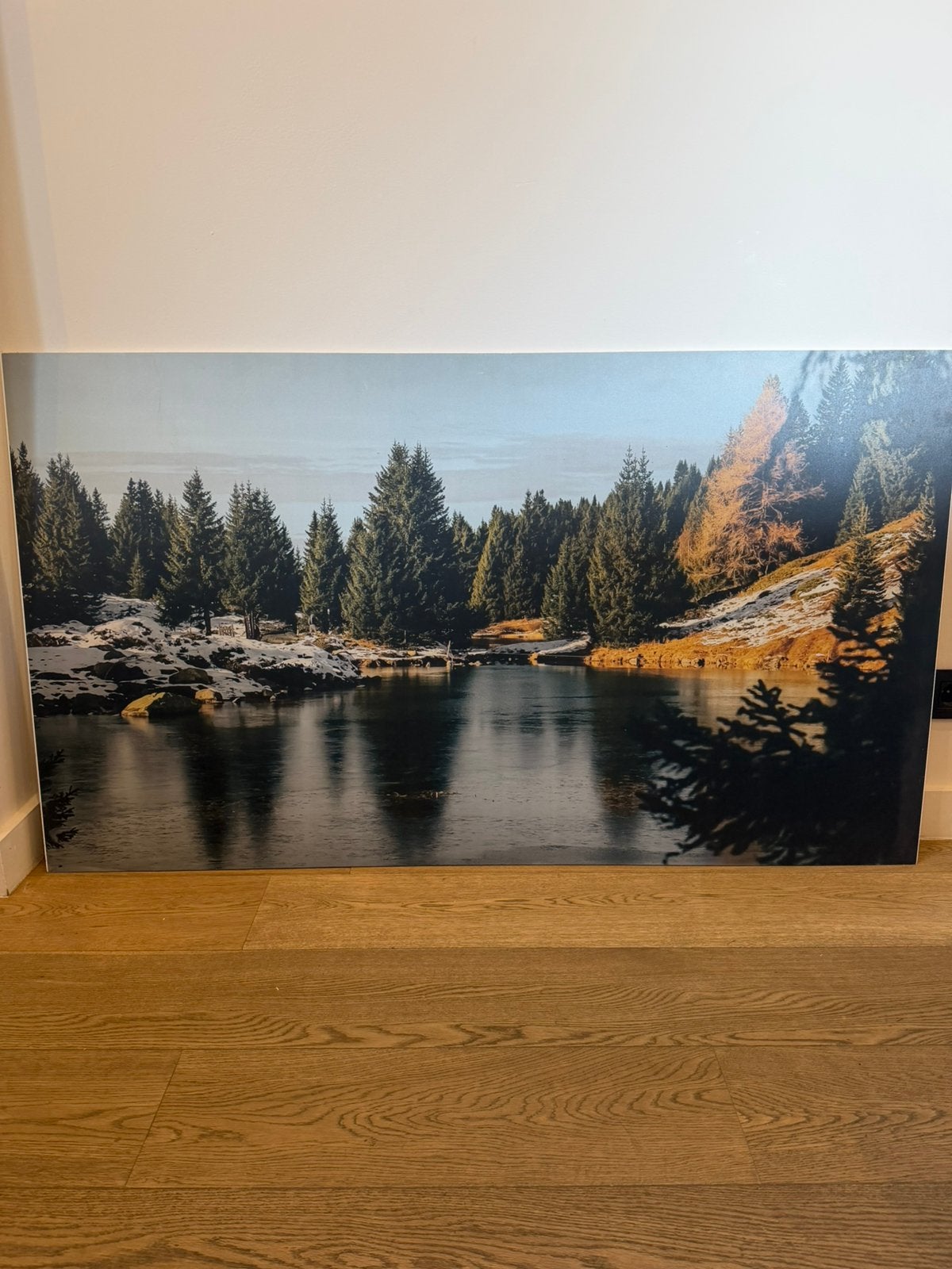 Photographie originale – Grand format 140  80 cm sur Forex, Enlèvement, Comme neuf