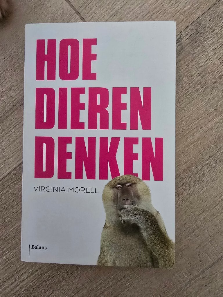 Boek 'Hoe dieren denken', Ophalen, Zo goed als nieuw