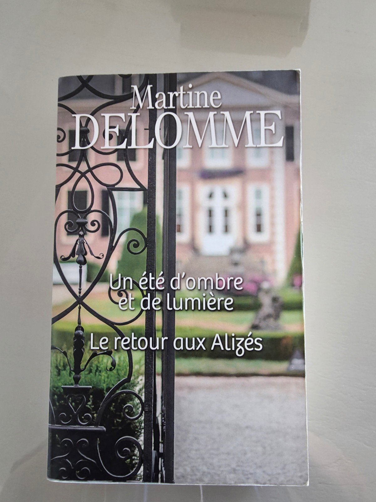 Een zomer vol licht en schaduw, Ophalen, Martine delomme