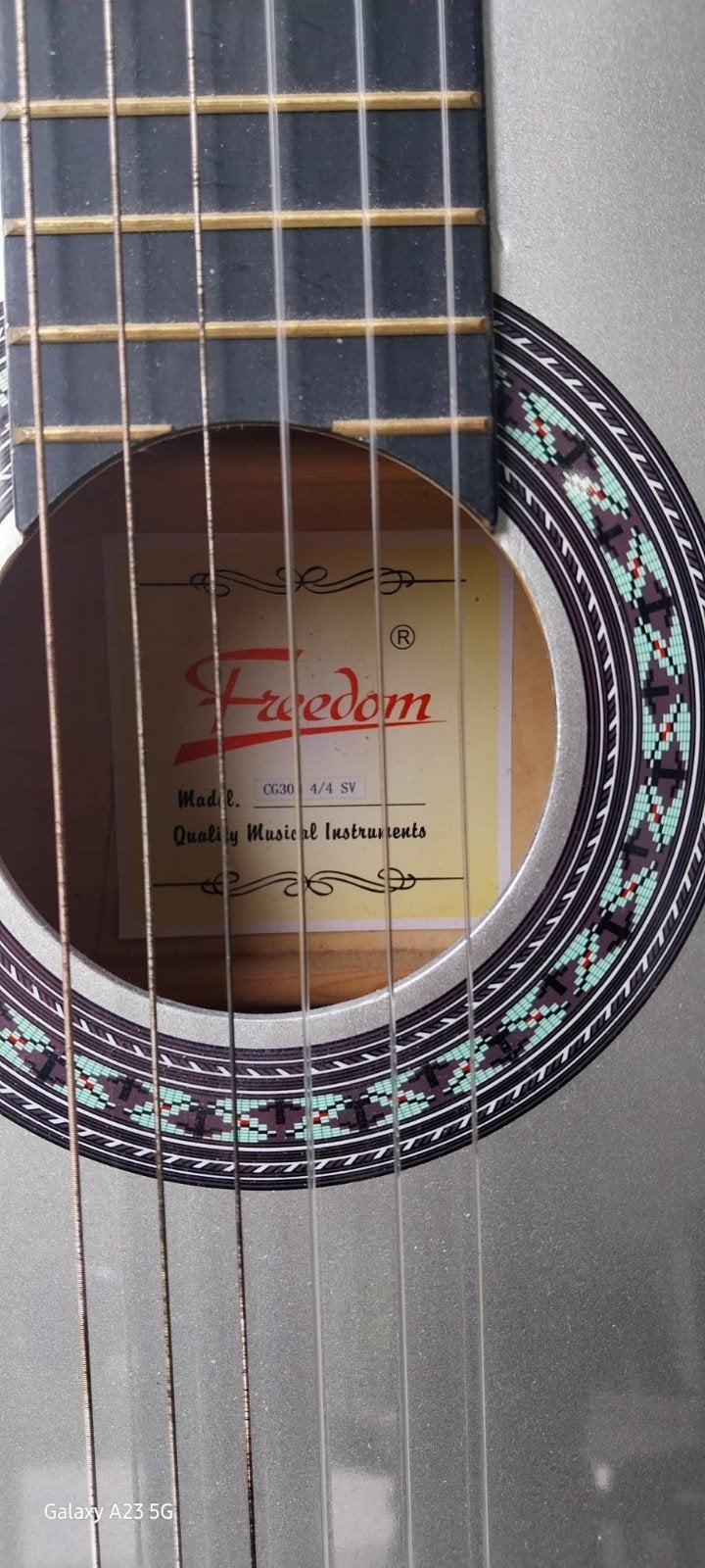 guitare Freedom, Enlèvement