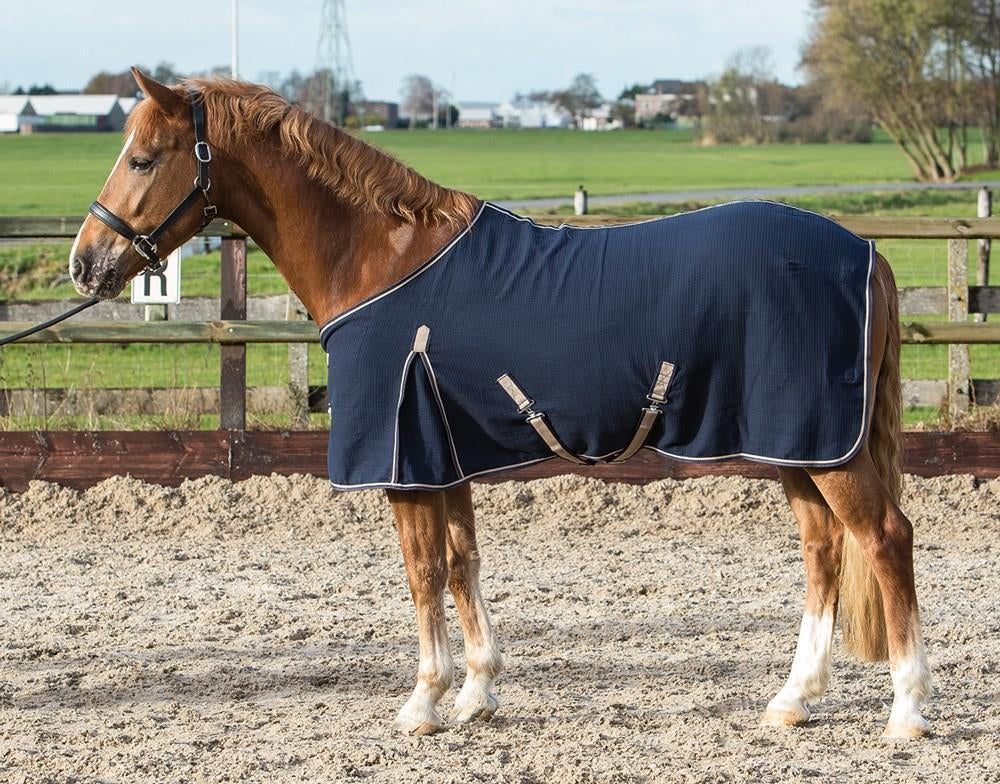 Harry's Horse Zomerdeken 160/215cm, Ophalen of Verzenden, Nieuw, Deken, BR