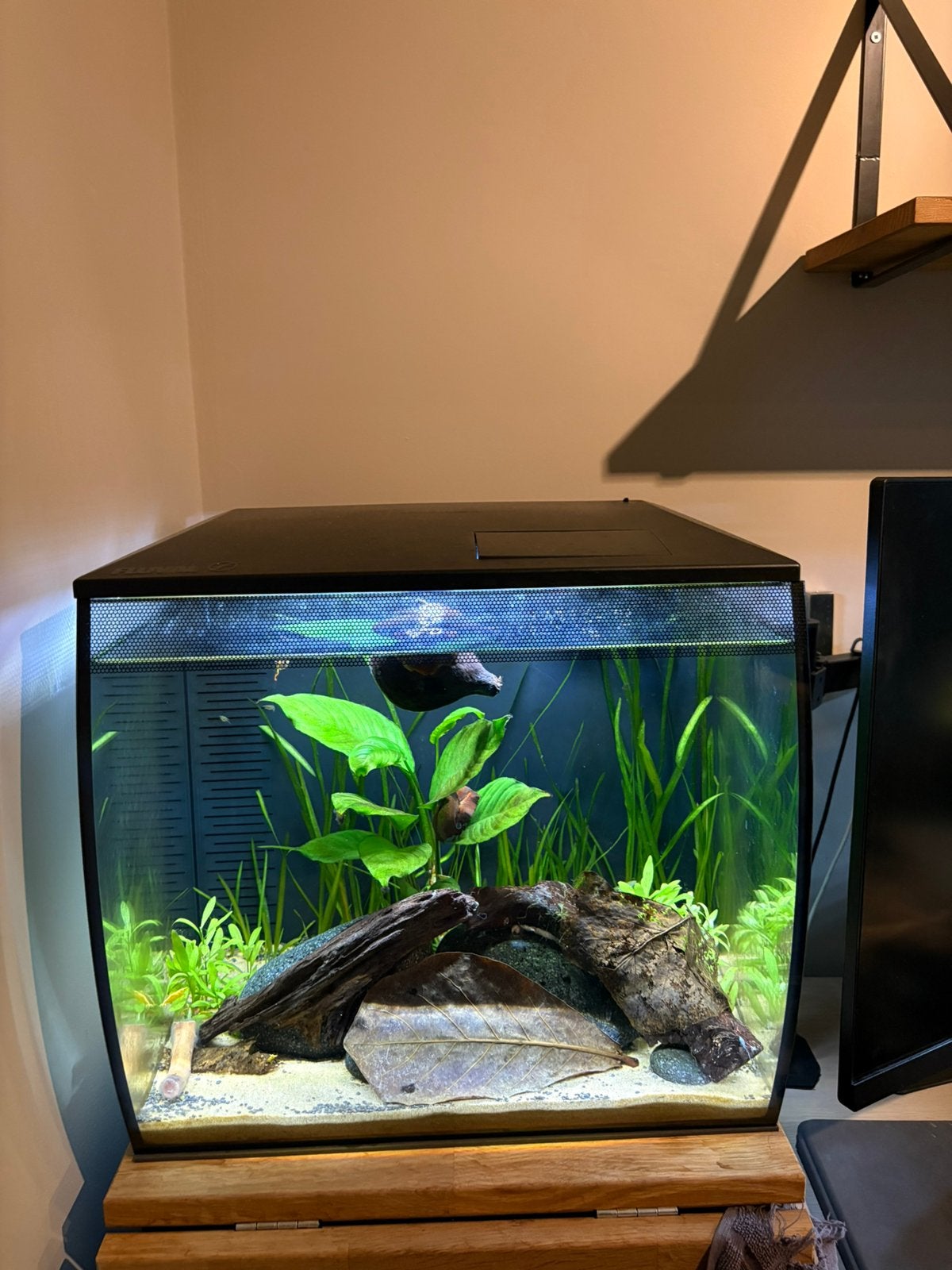 Fluval flex 57 liter, Dieren en Toebehoren, Ophalen, Zo goed als nieuw, Fluval