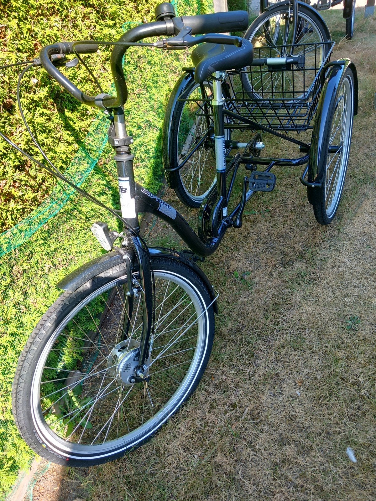 Nieuwe ecotrike driewielfiets, Fietsen en Brommers, Fietsen | Driewielfietsen, Ophalen