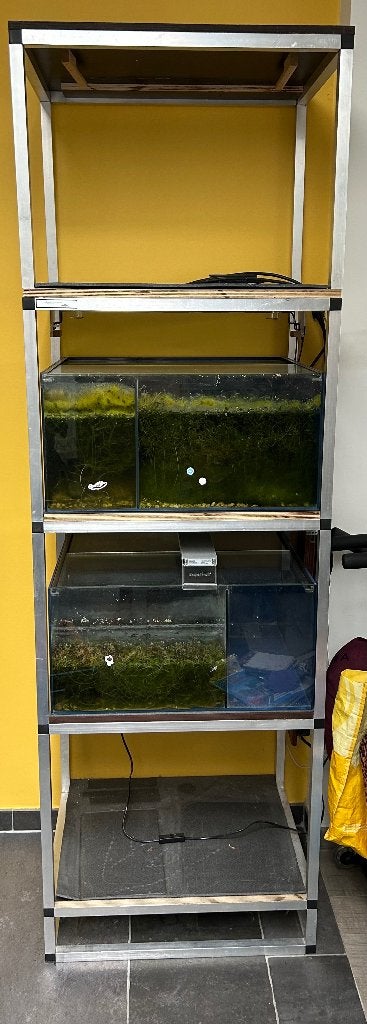 Aquariumstelling te koop, Ophalen, Gebruikt, Leeg aquarium