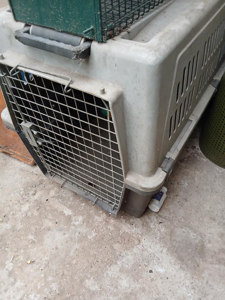 honden box, Enlèvement, Utilisé
