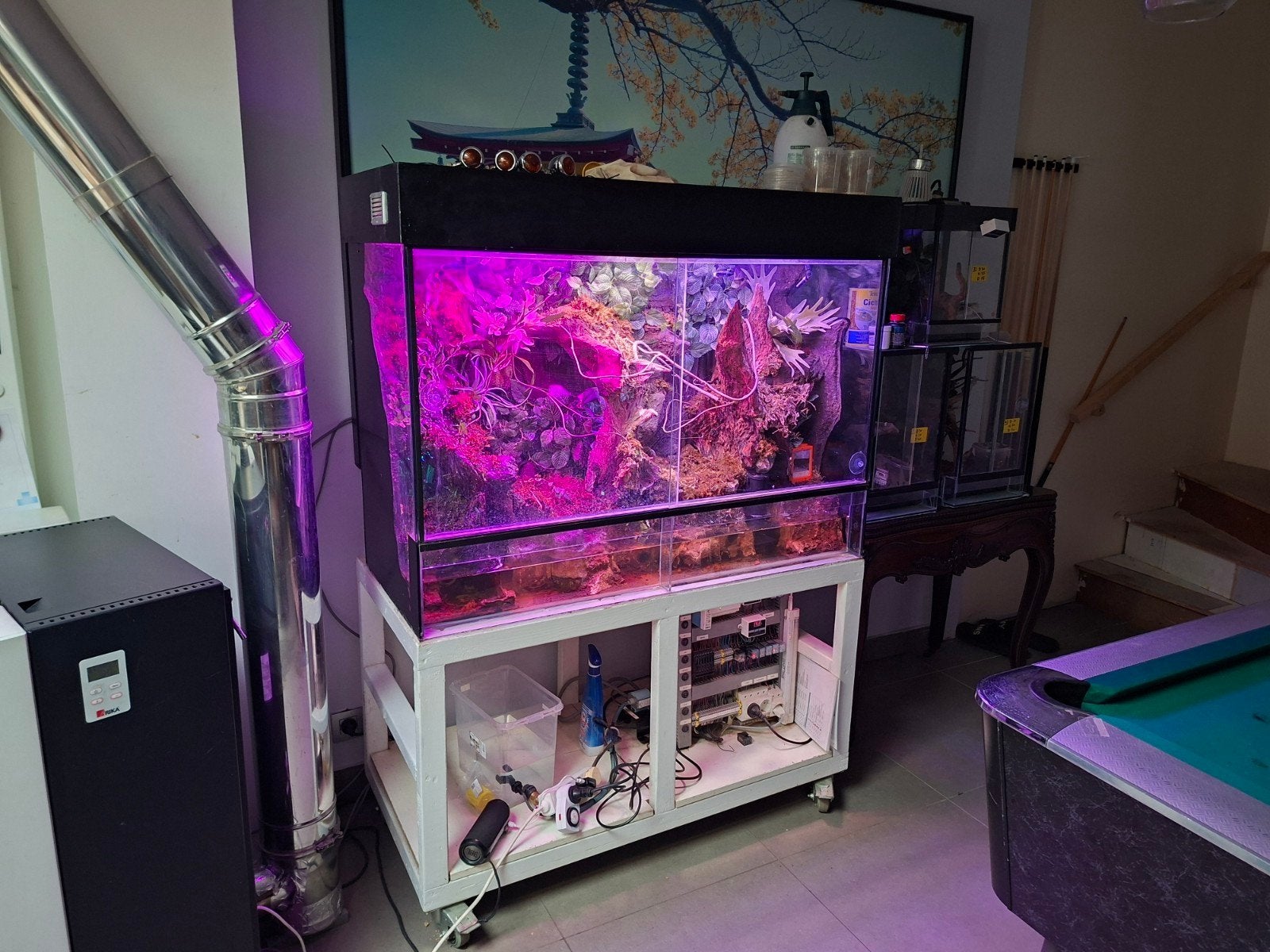 paludarium/ terrarium, Ophalen