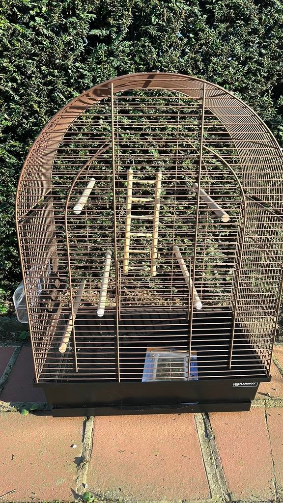 Vogelhuisje, Dieren en Toebehoren, Ophalen, Zo goed als nieuw