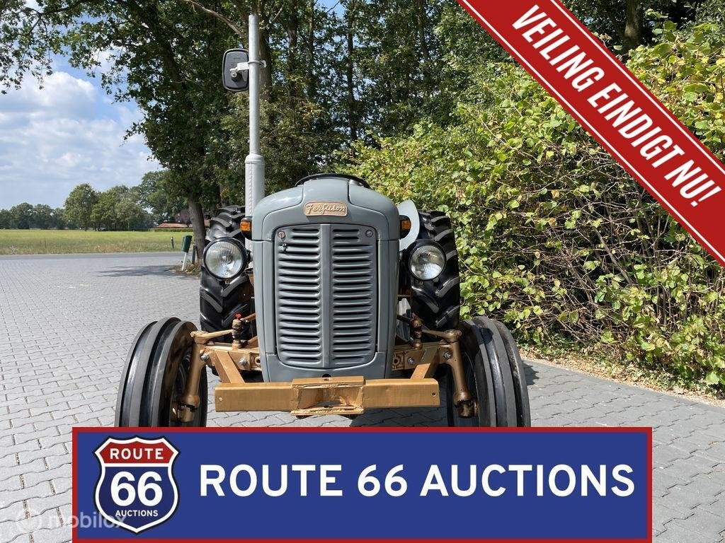 Massey Ferguson FE35 "Gold Belly" Tractor | 1957 | Route 66, Autres marques, Achat, Entreprise, Boîte manuelle