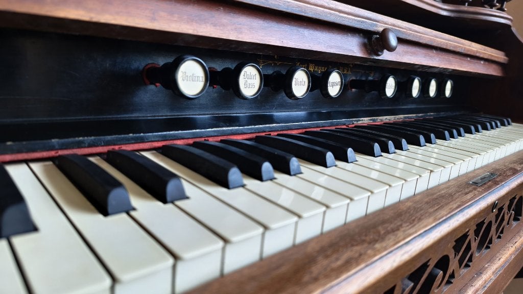 Harmonium ancien Packard Organ (Fort Wayne, USA), Enlèvement, Utilisé, 1 clavier, Harmonium