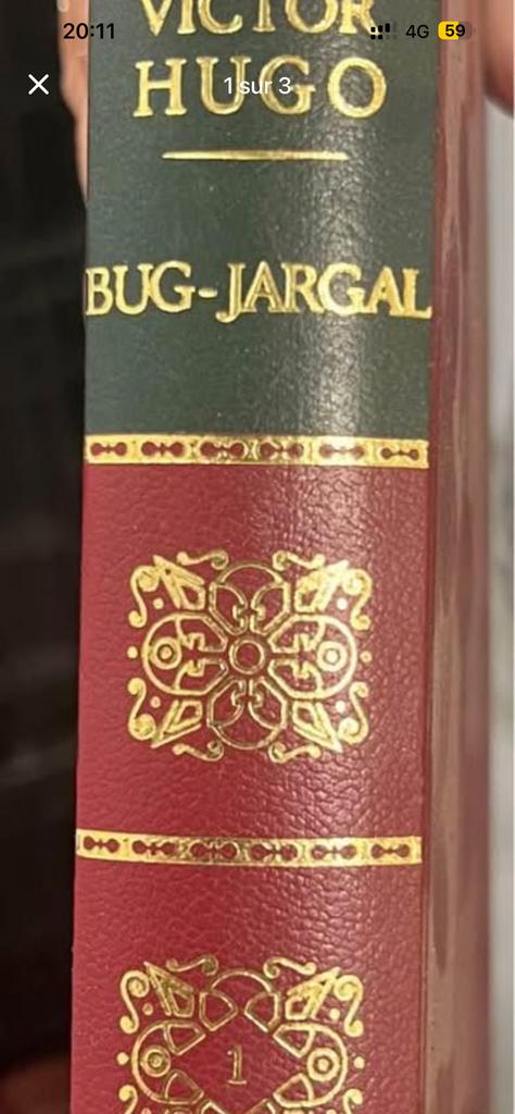 Victor Hugo-collectie — decoratieve banden, Boeken, Historische romans, Zo goed als nieuw, Ophalen