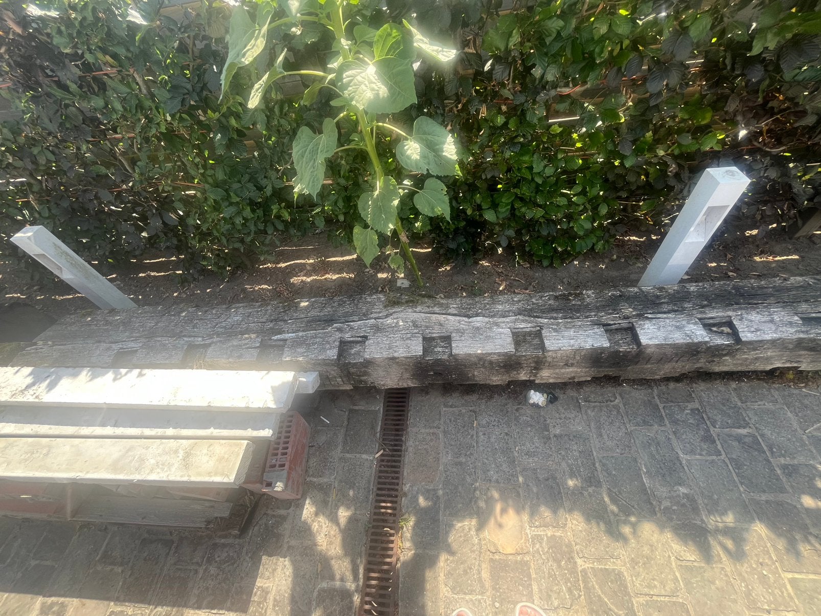Massieve eiken balk, Ophalen, Zo goed als nieuw, Hardhout, 250 cm of meer