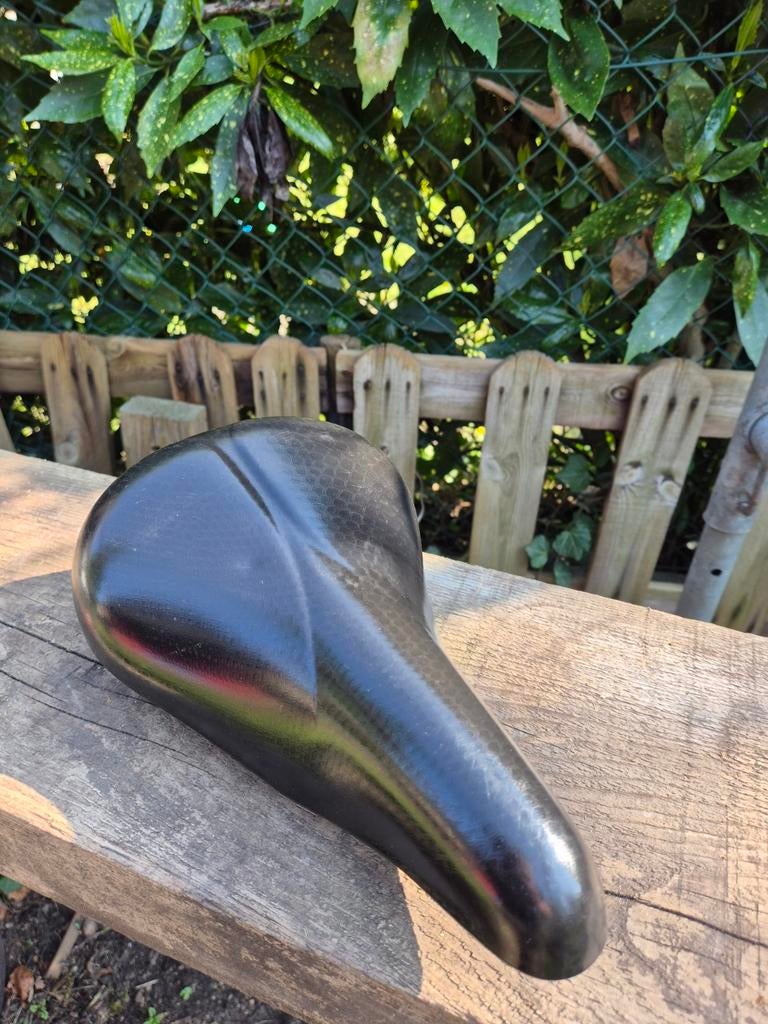 Zadel Selle Royal, Enlèvement