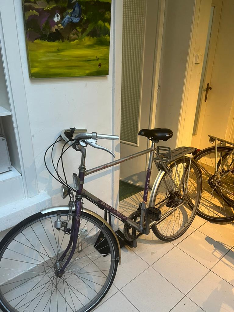 Norta fiets, Enlèvement, Utilisé, 10 à 15 vitesses, Autres marques