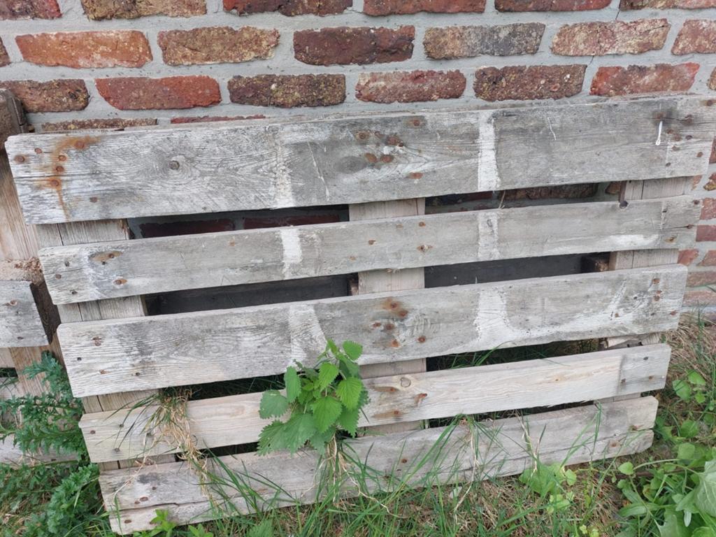 10 houten pallet, Ophalen of Verzenden