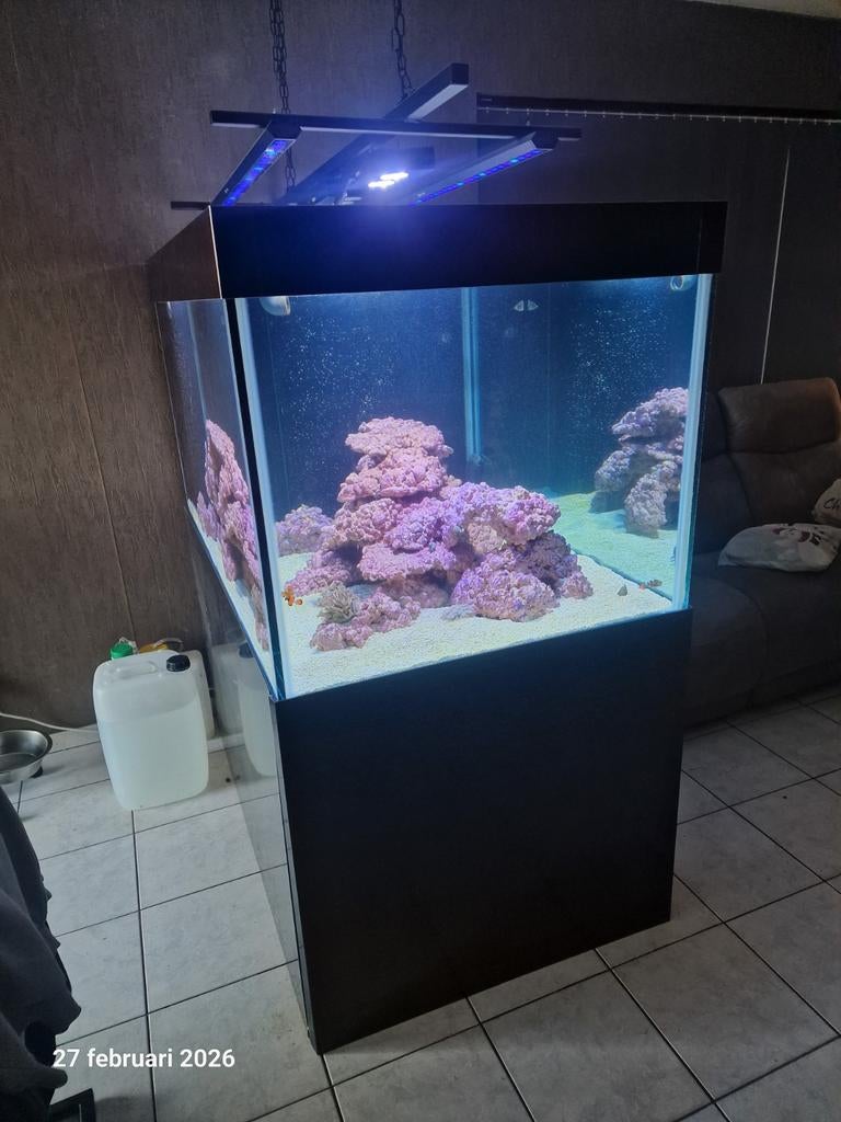 Groot zeeaquarium (ruilen mogenlijk), Dieren en Toebehoren, Vissen | Aquaria en Toebehoren, Ophalen, Verwarming, Reef Factory