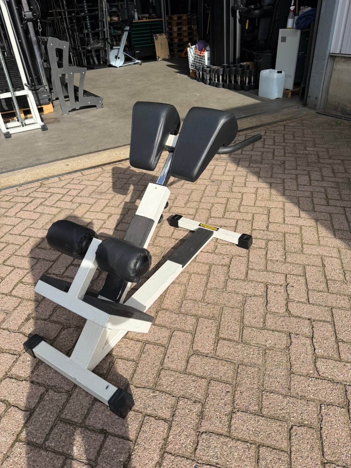 Technogym Lower Back Extension, Sport en Fitness, Ophalen, Gebruikt, Rug, Fitnessbank