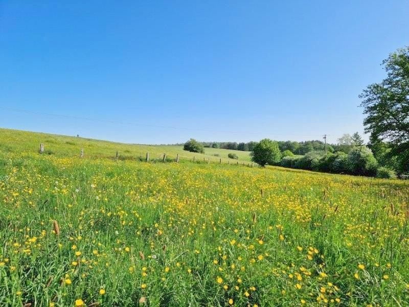 LES HAYONS: prachtige grond, 1ha 44a 66ca, nabij de Semois., Immo, Les Hayons BOUILLON, 1500 m² of meer