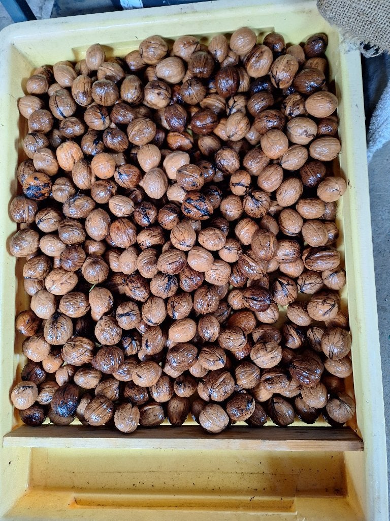 Noix fraîches, Divers, Enlèvement