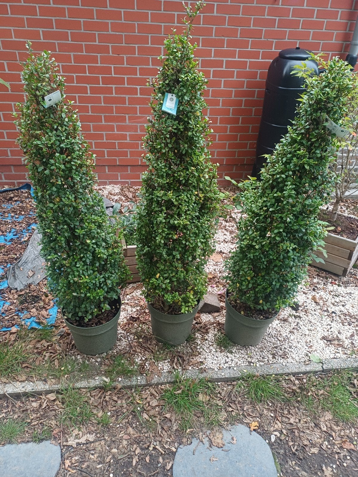 3 stuks, Tuin en Terras, Ophalen