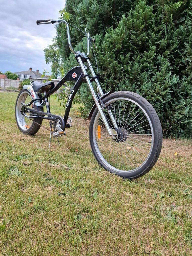 Chopper/Cruiser grote maat, Enlèvement