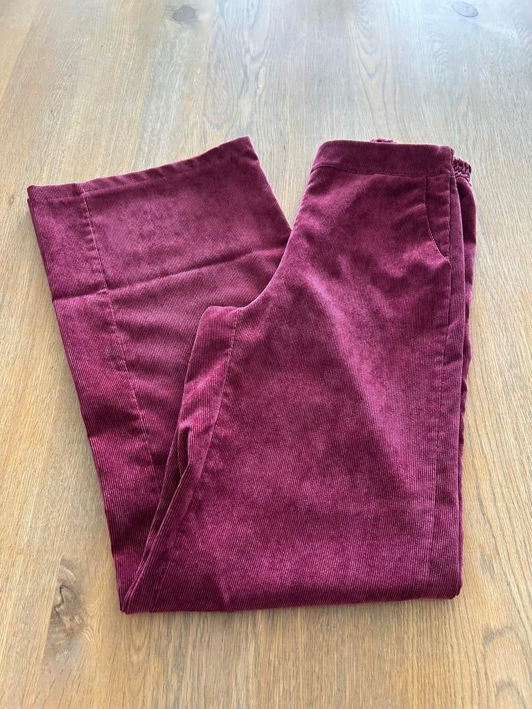 Bordeaux broek velours brede pijpen Black Rose maat XS, Kleding | Dames, Overige kleuren, Ophalen of Verzenden, Zo goed als nieuw