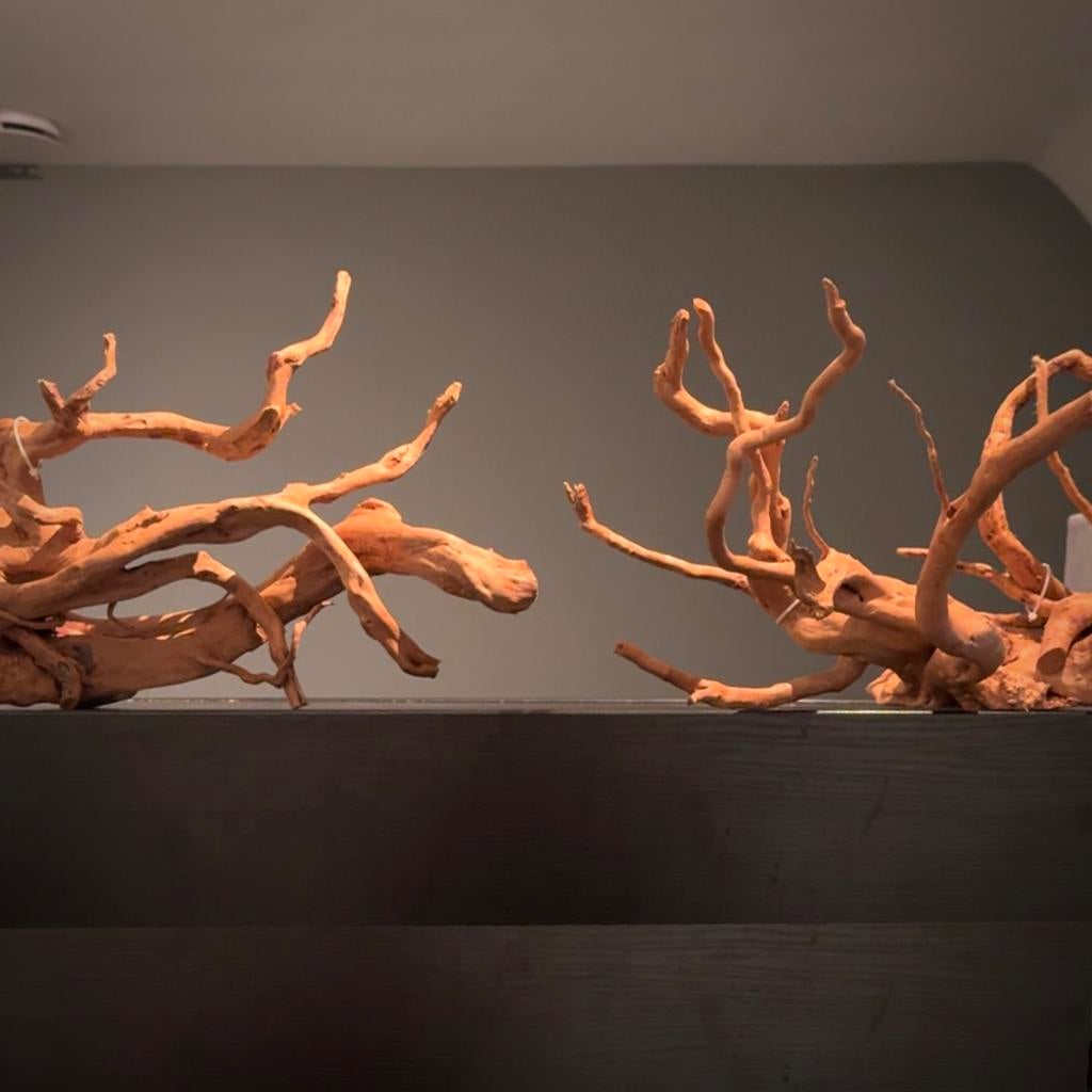 2x Spiderwood Large Aquascape Set / Kienhout, Hout Decoratie, Dieren en Toebehoren, Ophalen of Verzenden, Zo goed als nieuw, Decoratie