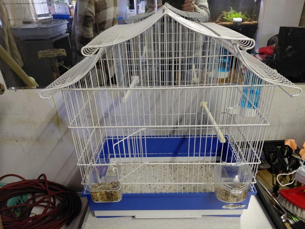Vogelkooi, Dieren en Toebehoren, Ophalen