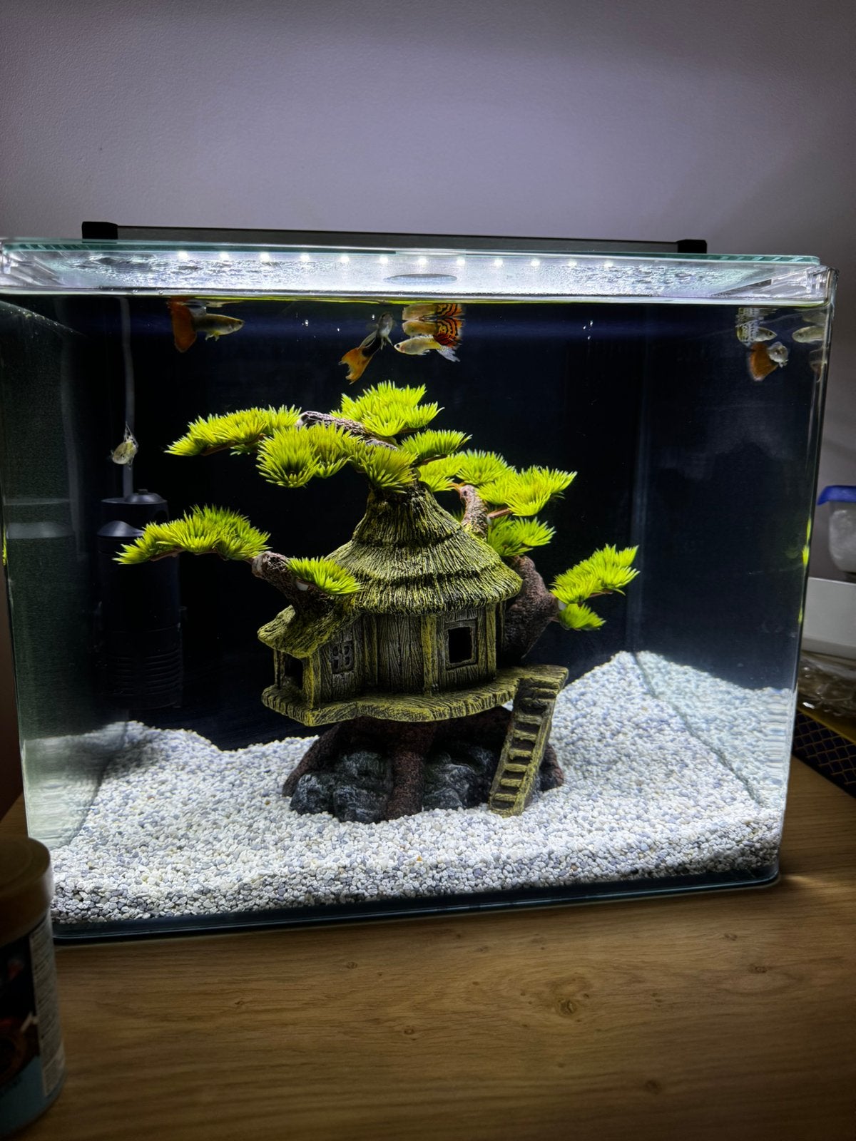 nano cube aquarium in zeer goede staat met toebehoren, Dieren en Toebehoren, Vissen | Aquaria en Toebehoren, Ophalen, Overige typen