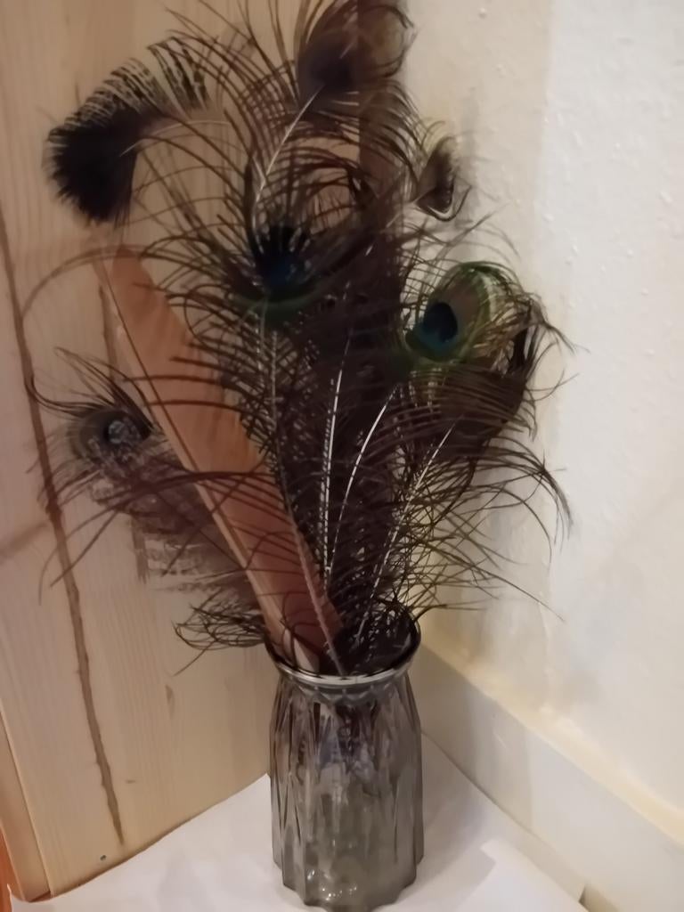Vaas met echte pauwenveren en decoratieparels, Ophalen
