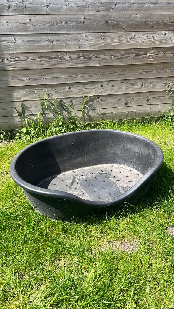 Grote hondenmand, Dieren en Toebehoren, Ophalen, Gebruikt