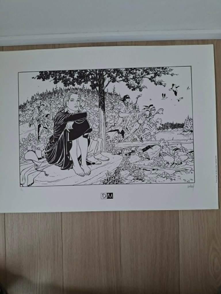 Juillard Plume au Vent 99 ex + signature,1996, valeur80-100€, Une BD, Enlèvement, Utilisé, Juillard Sente