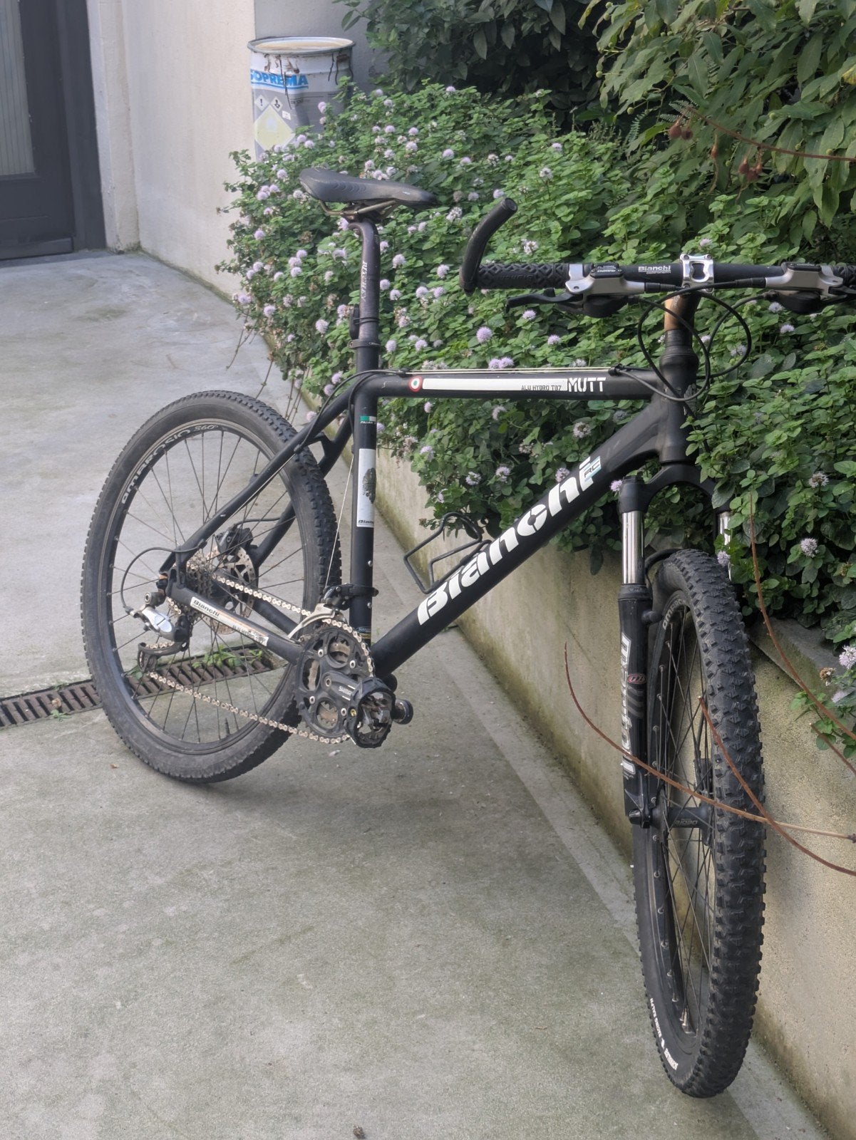 bianchi mutt mountainbike (nieuwe ketting & binnenbanden), Fietsen en Brommers, Gebruikt, 49 tot 53 cm, Schijfrem, Ophalen
