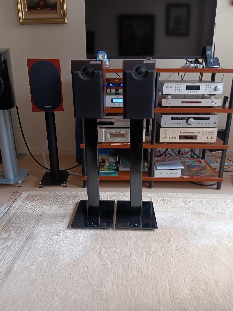 Prachtige Trianle Bibliotheek luidsprekers, TV, Hi-fi & Vidéo, Enceintes, Autres marques, 60 à 120 watts, Comme neuf, Enlèvement