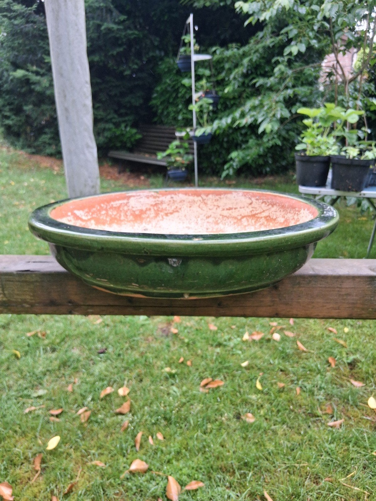 Xxl bonsai schaal, Ophalen